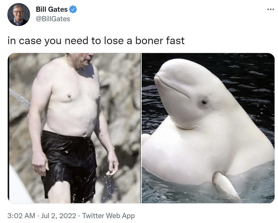 Bill Gates' 2022 tweet